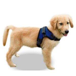 Reflective Dog Harness with Leash -Large